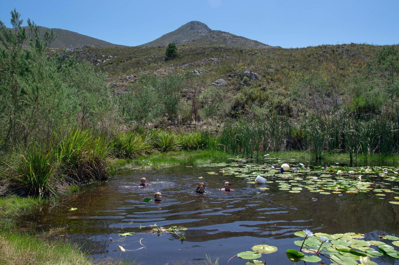 סטנפורד Phillipskop Mountain Reserve מראה חיצוני תמונה