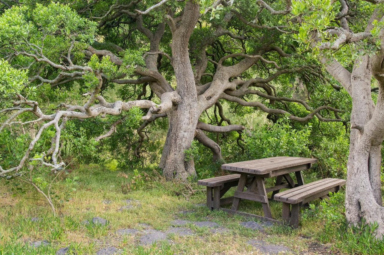 סטנפורד Phillipskop Mountain Reserve מראה חיצוני תמונה